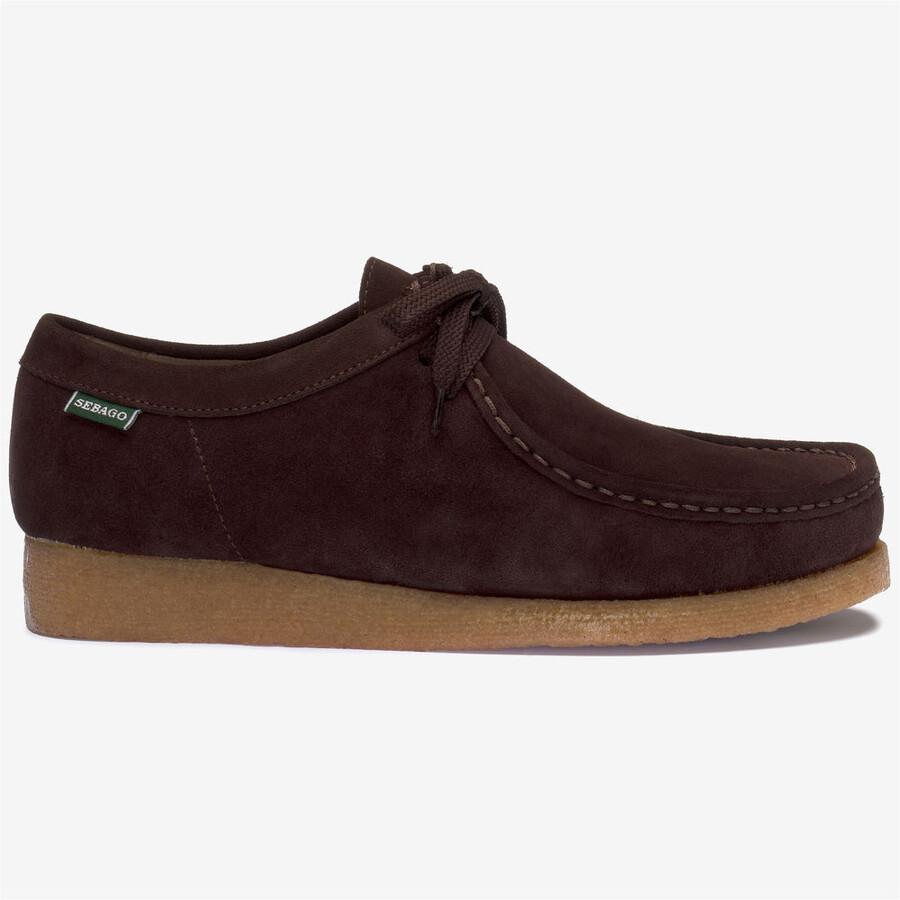 koala brown-gum